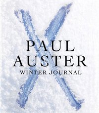 Winter Journal (ljudbok)
