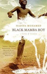 Black Mamba Boy (e-bok)