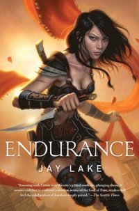 Endurance (e-bok)