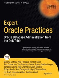 Expert Oracle Practices (e-bok)