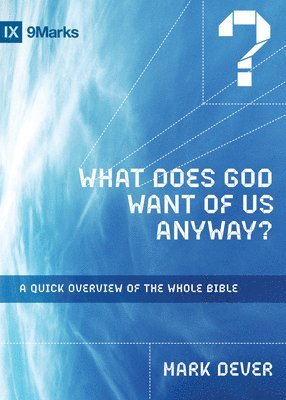 What Does God Want of Us Anyway? (häftad)
