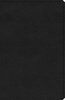 ESV Verse-by-Verse Reference Bible (häftad)