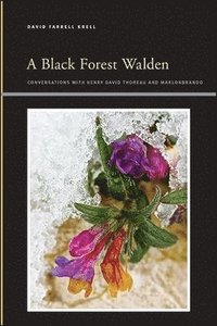 A Black Forest Walden (häftad)