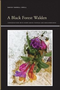 Black Forest Walden (e-bok)