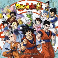 22 Dragon Ball Super Wall Wall Bokus