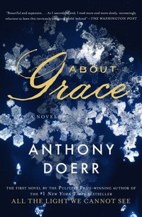 About Grace (e-bok)