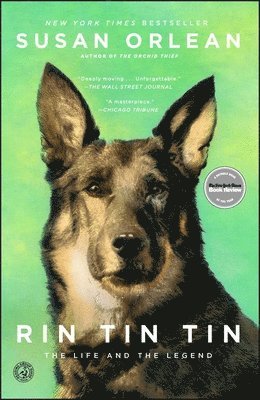 Rin Tin Tin: The Life and the Legend (inbunden)