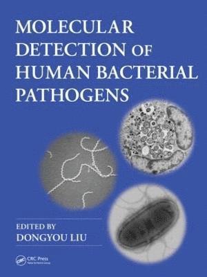 Molecular Detection of Human Bacterial Pathogens (inbunden)