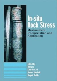 In-Situ Rock Stress (e-bok)