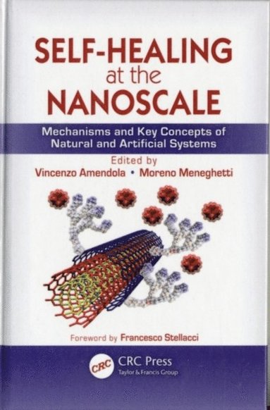 Self-Healing at the Nanoscale (inbunden)