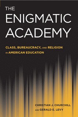 The Enigmatic Academy (inbunden)