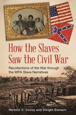 How the Slaves Saw the Civil War (hftad)