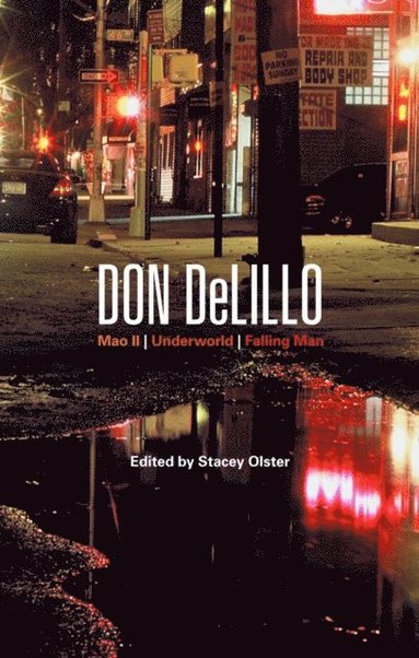 Don DeLillo (e-bok)