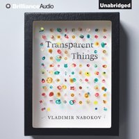 Transparent Things (ljudbok)
