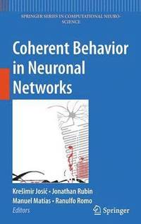 Coherent Behavior in Neuronal Networks (inbunden)