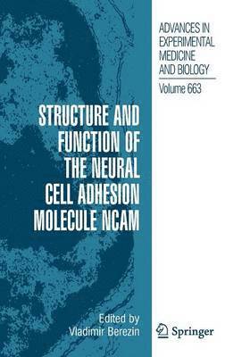 Structure and Function of the Neural Cell Adhesion Molecule NCAM (inbunden)