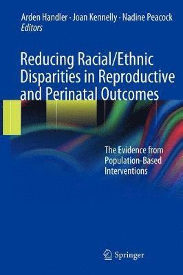 Reducing Racial/Ethnic Disparities in Reproductive and Perinatal Outcomes (inbunden)