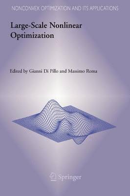 Large-Scale Nonlinear Optimization (hftad)