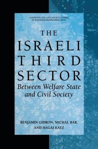 Israeli Third Sector (e-bok)