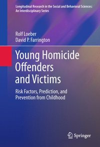 Young Homicide Offenders and Victims (e-bok)