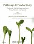 Pathways to Productivity