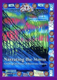 Narrating the Storm (e-bok)