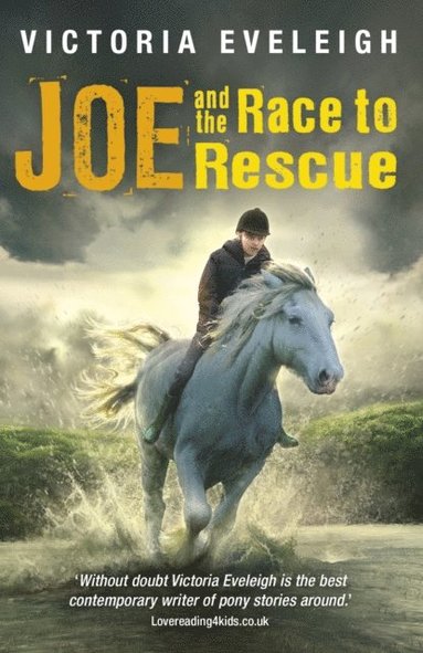 Joe and the Race to Rescue (e-bok)