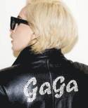 LADY GAGA x TERRY RICHARDSON (inbunden)
