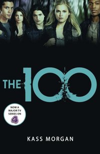 100 (e-bok)