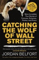 Catching the Wolf of Wall Street (häftad)