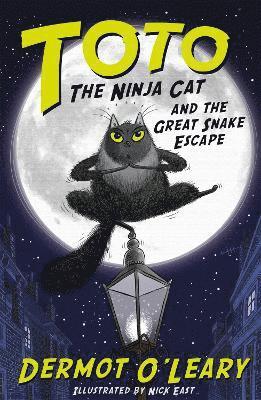 Toto the Ninja Cat and the Great Snake Escape (hftad)