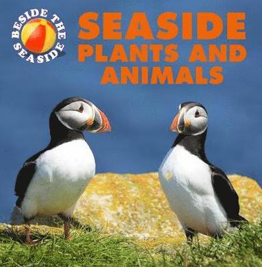 Beside the Seaside: Seaside Plants and Animals (hftad)