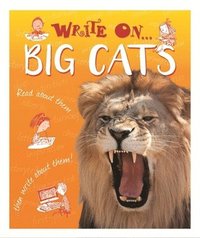 Write On: Big Cats (häftad)
