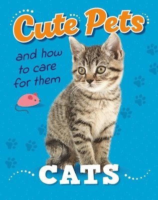 Cute Pets! And How to Care For Them: Cats (h�ftad)
