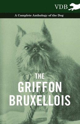 Griffon Bruxellois - A Complete Anthology of the Dog (inbunden)