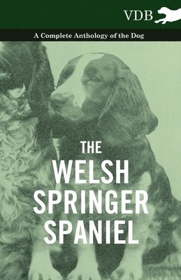 Welsh Springer Spaniel - A Complete Anthology of the Dog (häftad)