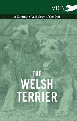 Welsh Terrier - A Complete Anthology of the Dog (inbunden)