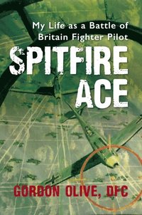 Spitfire Ace (e-bok)