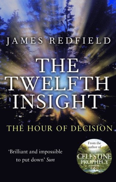 Twelfth Insight (e-bok)