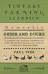 Domestic Geese And Ducks - A Complete And Authentic Handbook And Guide For Breeders, Growers And Admirers Of Domestic Geese And Ducks