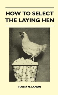 How To Select The Laying Hen (inbunden)