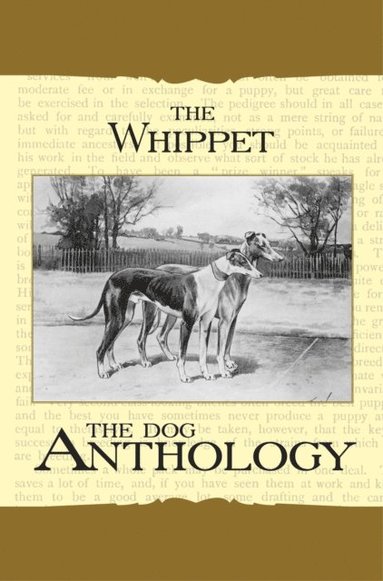 Whippet - A Dog Anthology (A Vintage Dog Books Breed Classic) (e-bok)