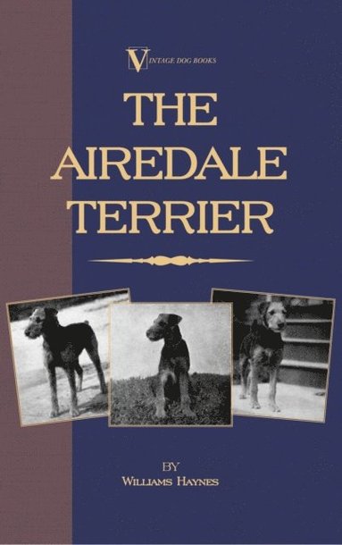 Airedale Terrier (e-bok)