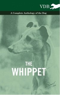 Whippet - A Complete Anthology of the Dog (e-bok)