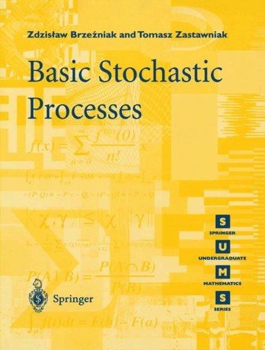 Basic Stochastic Processes (e-bok)