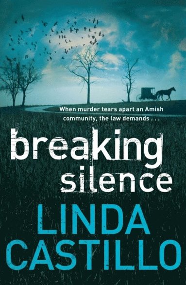 Breaking Silence (hftad)