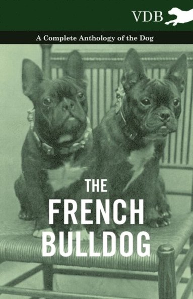 French Bulldog - A Complete Anthology of the Dog (e-bok)