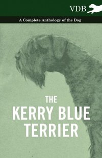 Kerry Blue Terrier - A Complete Anthology of the Dog (e-bok)