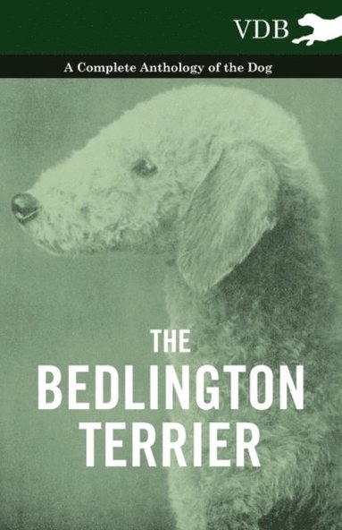 Bedlington Terrier - A Complete Anthology of the Dog - (e-bok)