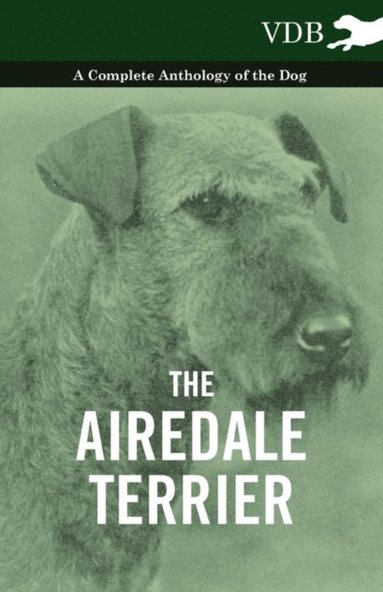 Airedale Terrier - A Complete Anthology of the Dog - (e-bok)